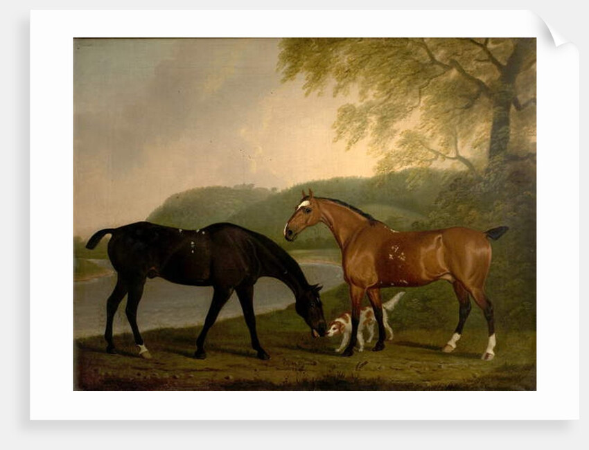Horses and Dog in a Landscape, c.1830 by Clifton Tomson