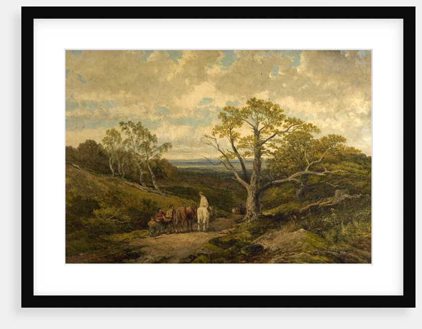 View in Sherwood Forest, Nottinghamshire by John Holland