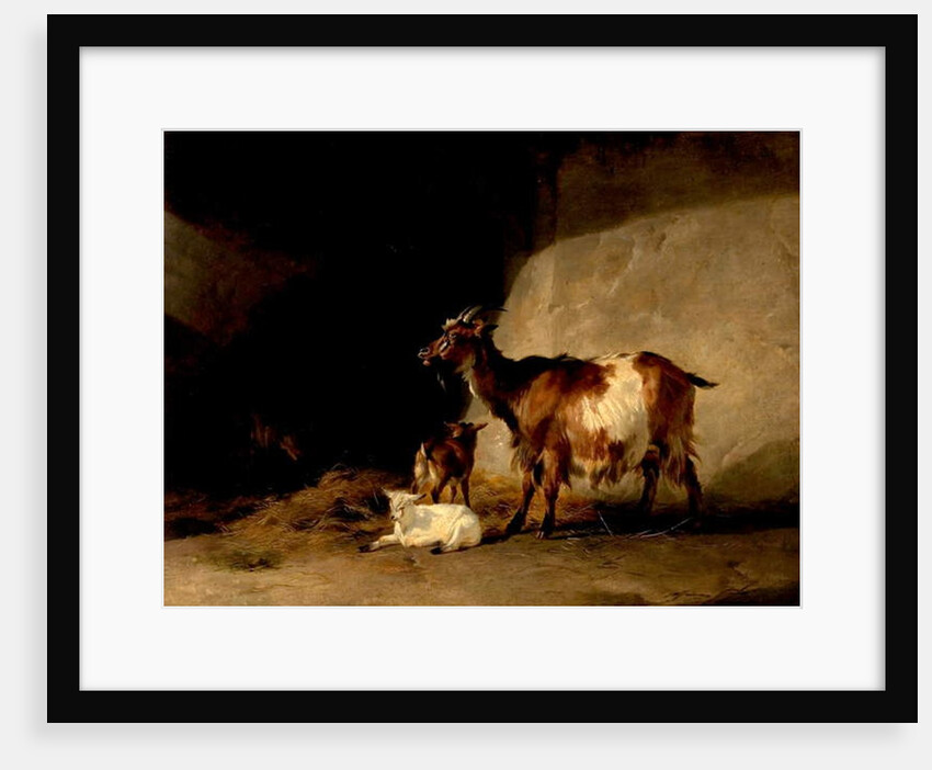 Mountain Sheep, 1846 by Thomas Sidney Cooper