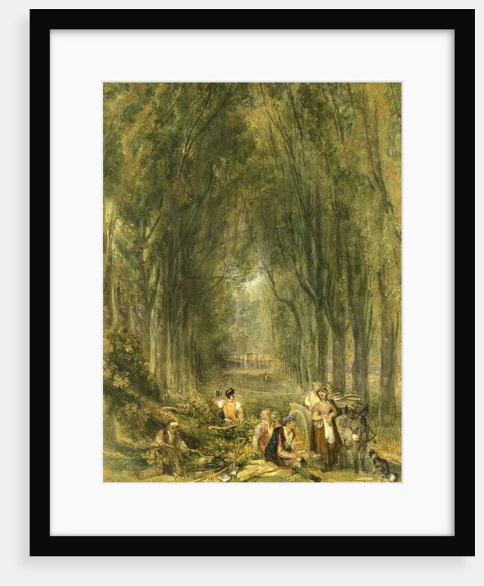 The Lime Walk at Weston, Buckinghamshire by William Harvey