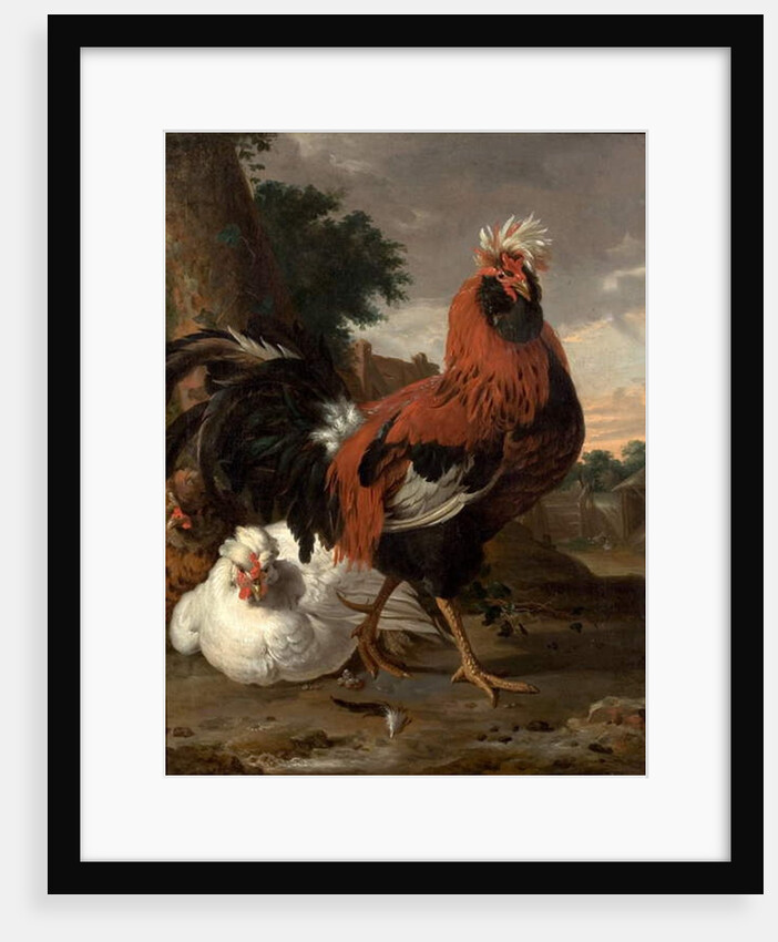 Fowl by Melchior de Hondecoeter