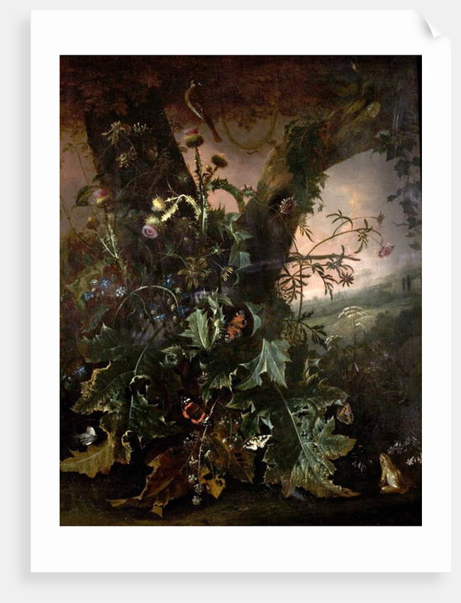 Still Life with Frog and Goldfinch by Matthias Withoos