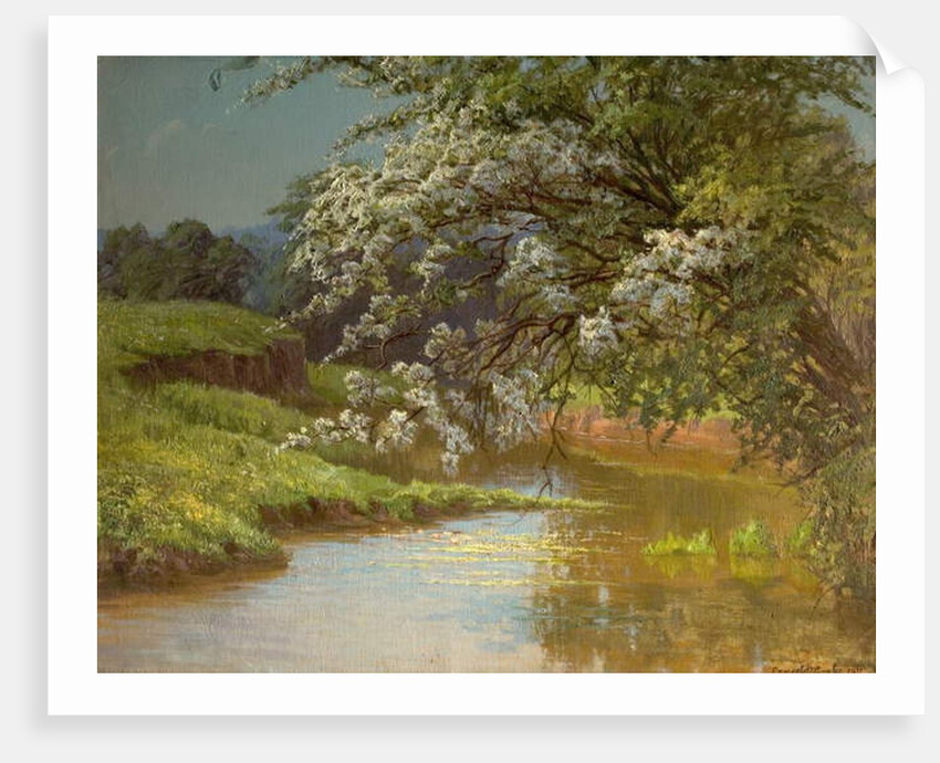 May Blossom, 1910 by Ernest Owen Cooke