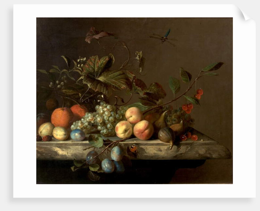 Fruit Piece with Dragonfly, 1692 by Barend or Bernardus van der Meer