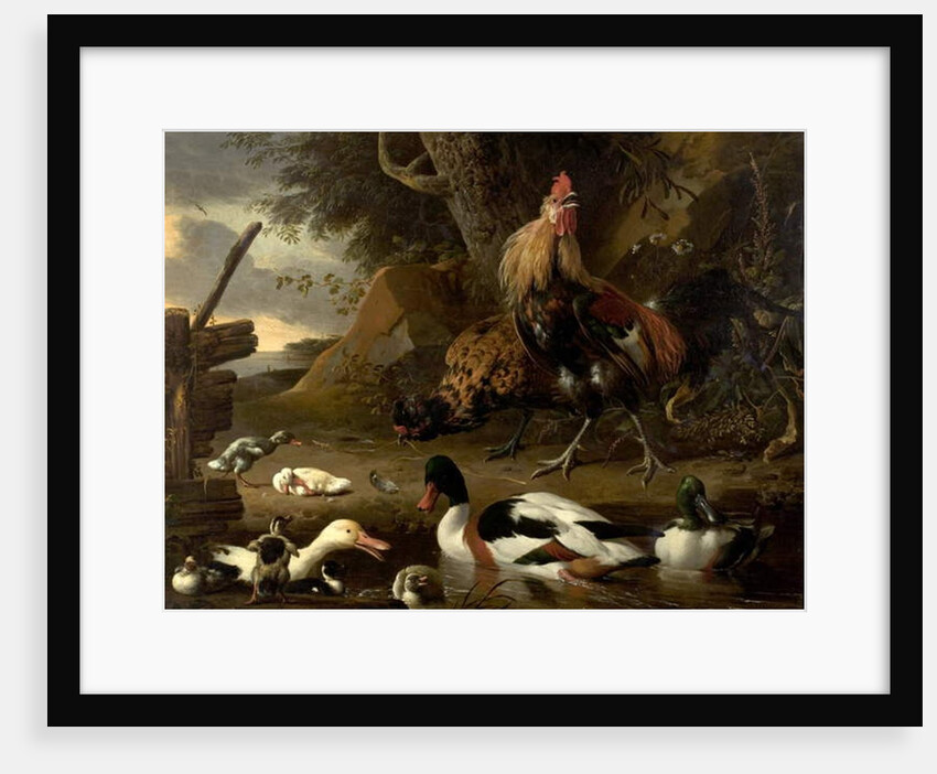 Two Fowls and Ducks on a Pond by Melchior de Hondecoeter