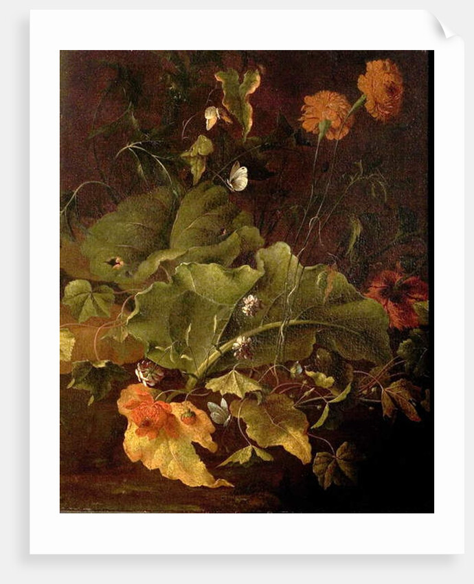 Dock Leaves and Other Flowers, c.1820 by James Sillett