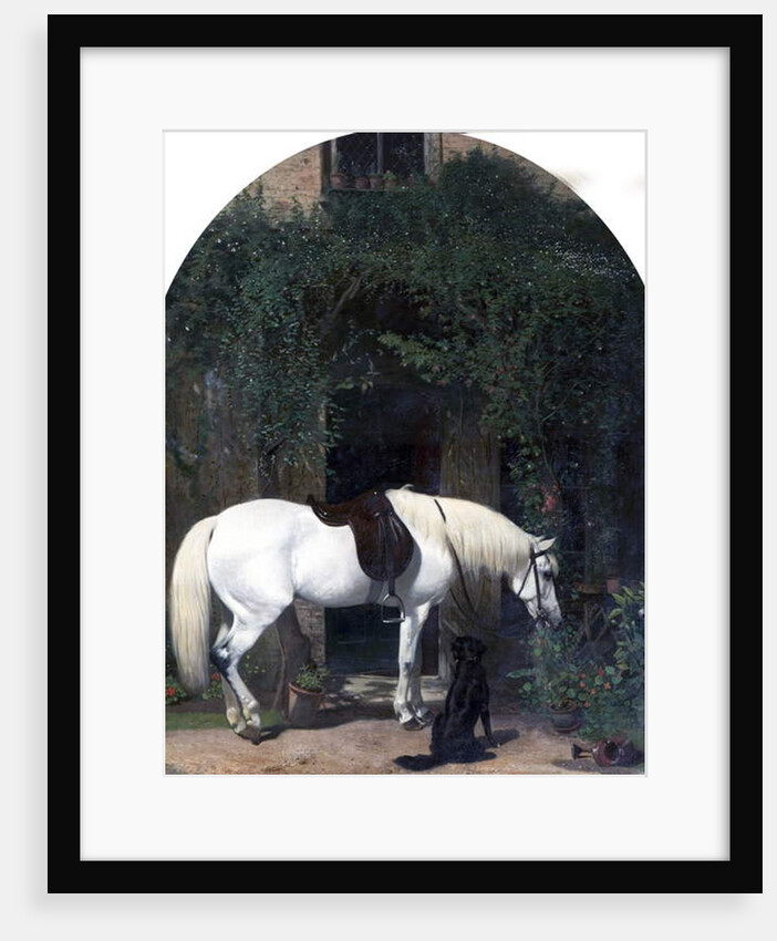 White Horse and Retriever by Alfred Hichens Corbould