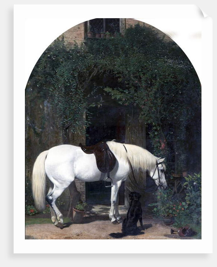 White Horse and Retriever by Alfred Hichens Corbould