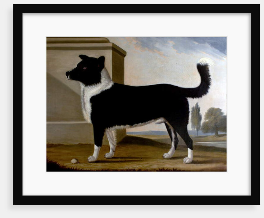 Lord Byron's Dog 'Boatswain', 1808 by Clifton Tomson