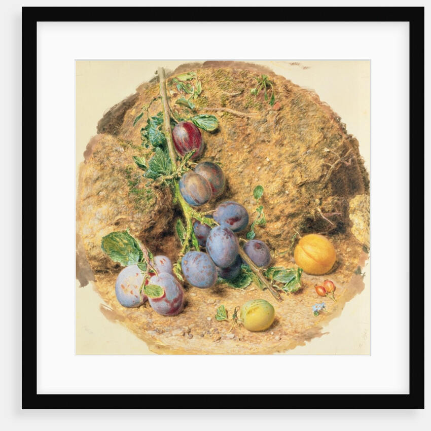 Plums by William Henry Hunt