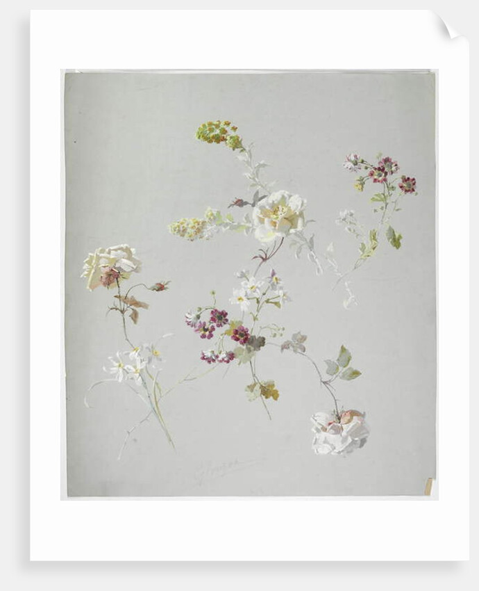 Carpet design by English School