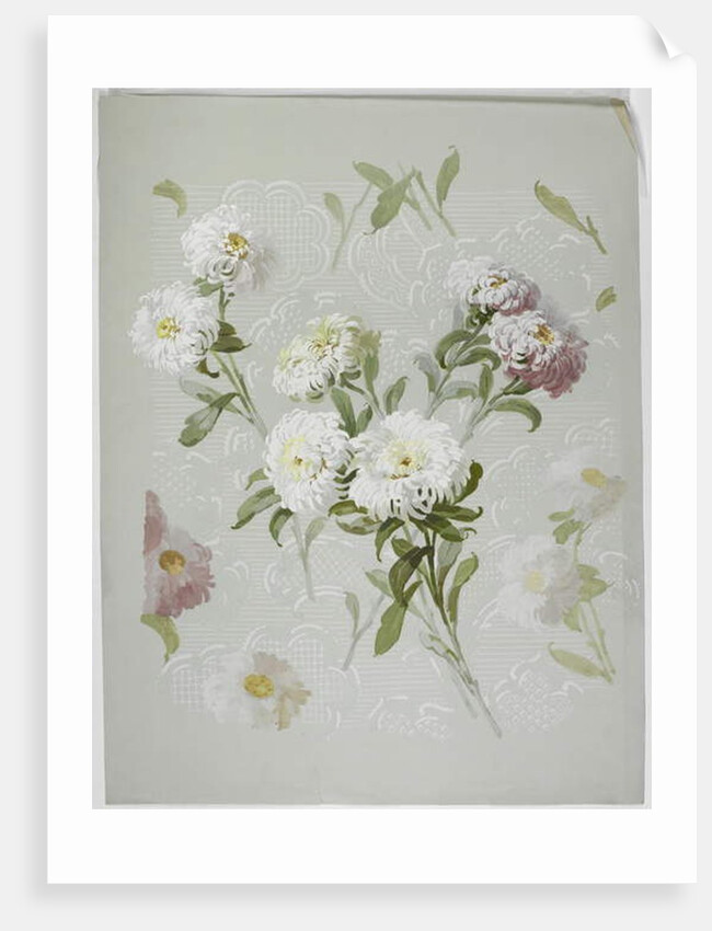 Carpet design by English School