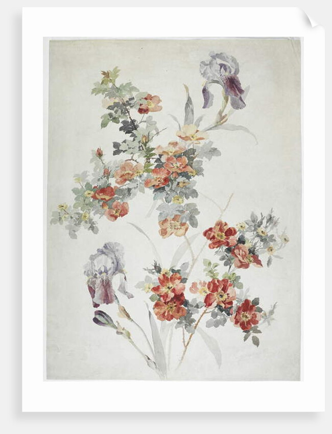 Carpet design by English School