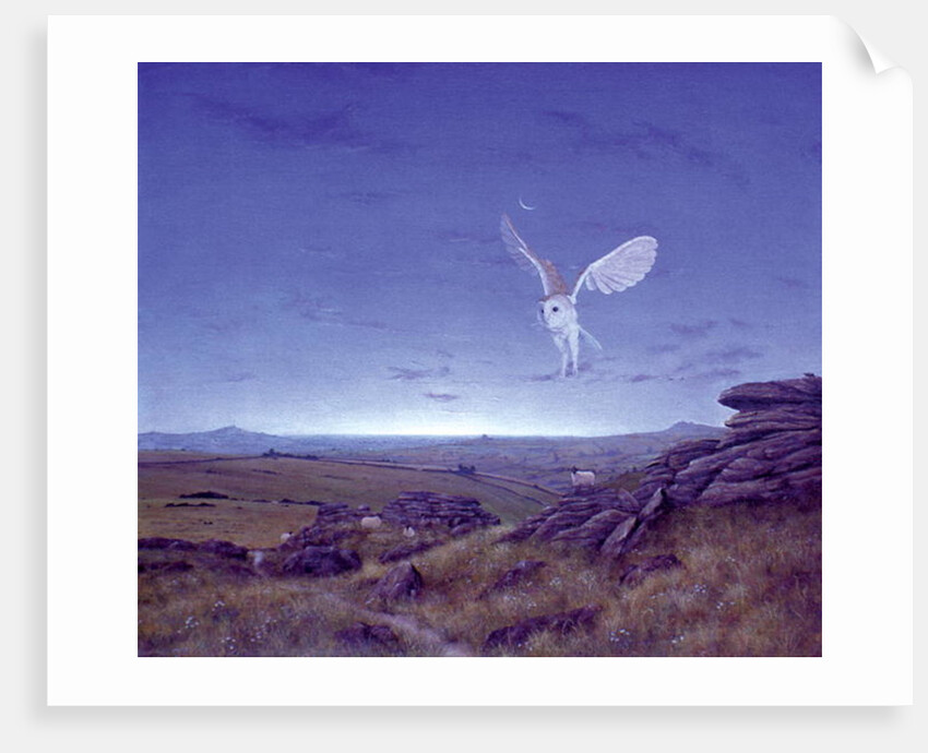 The Moors by Simon Cook