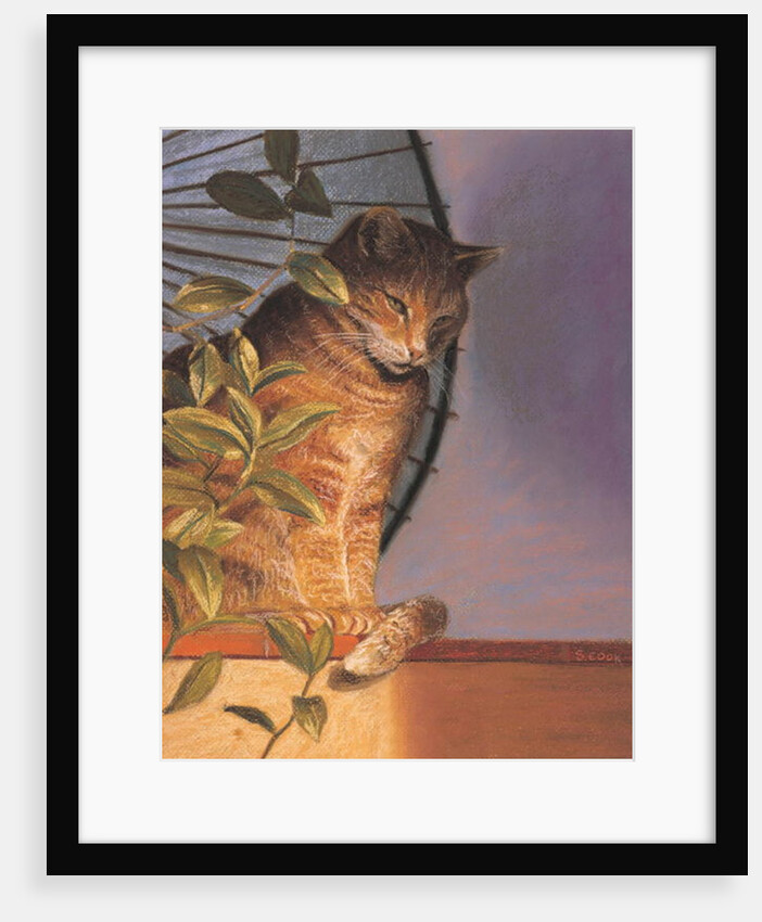 Contemplation by Simon Cook