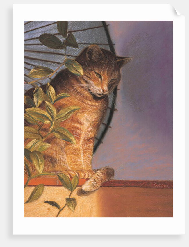 Contemplation by Simon Cook