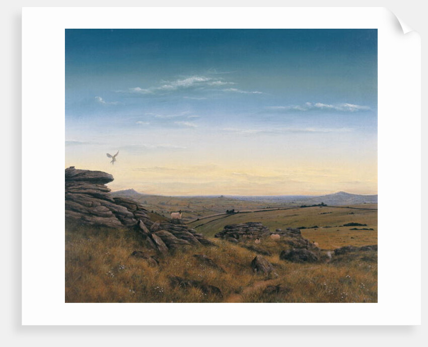 Evening Sky by Simon Cook