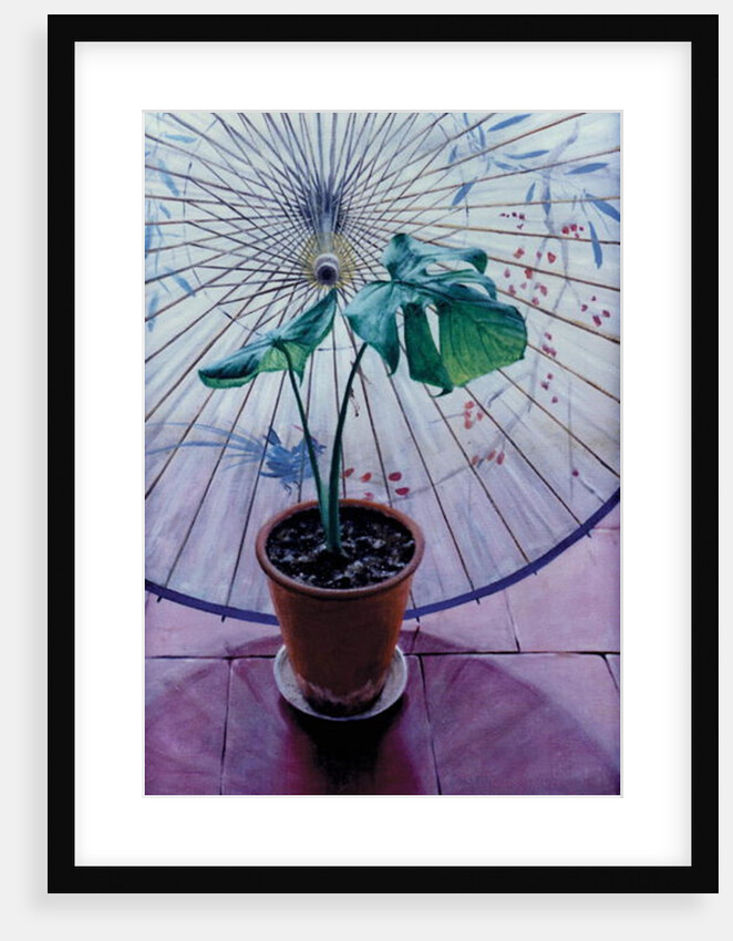 Chinese Umbrella by Simon Cook