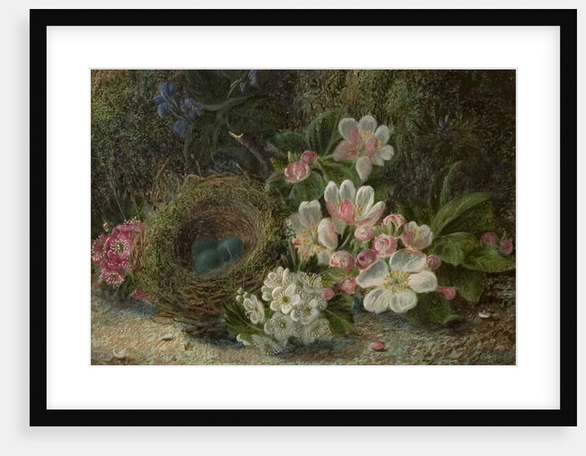Bird's Nest with Apple and Hawthorn Blossom, 1893 by Oliver Clare