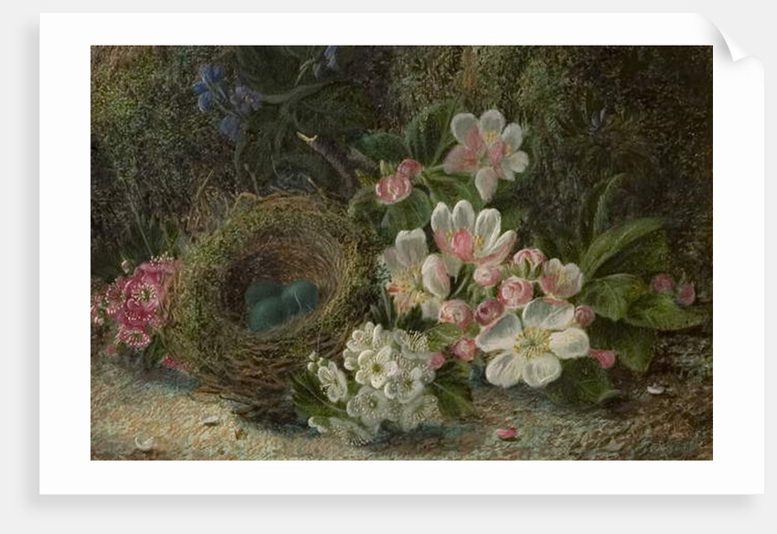 Bird's Nest with Apple and Hawthorn Blossom, 1893 by Oliver Clare