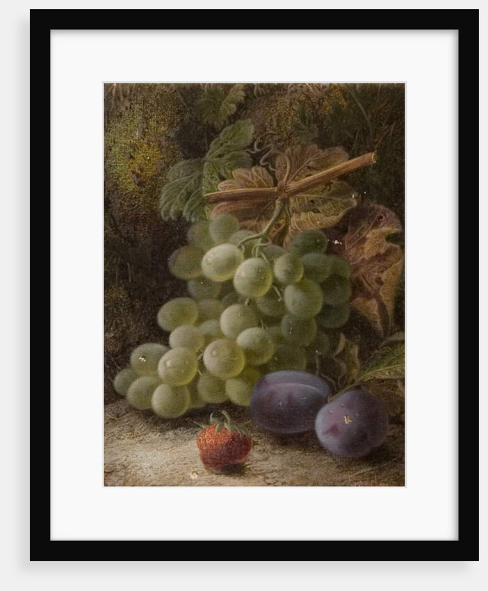 Bunch of Grapes, 1893 by Oliver Clare