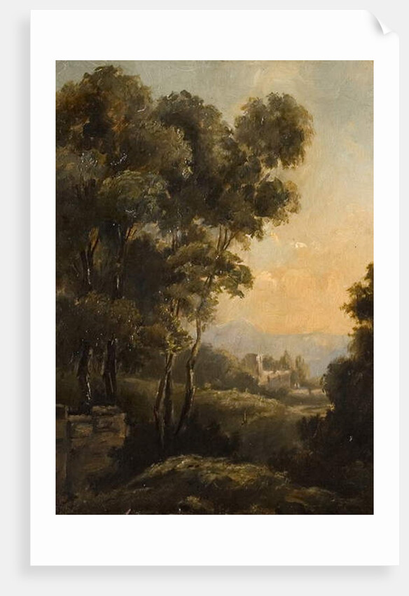 Study of a Tree, late 19th century by Walter Scott