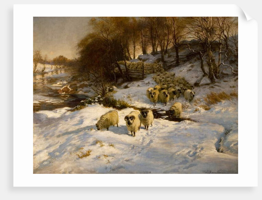 Sheep in the Snow, 1935 by Joseph Farquharson