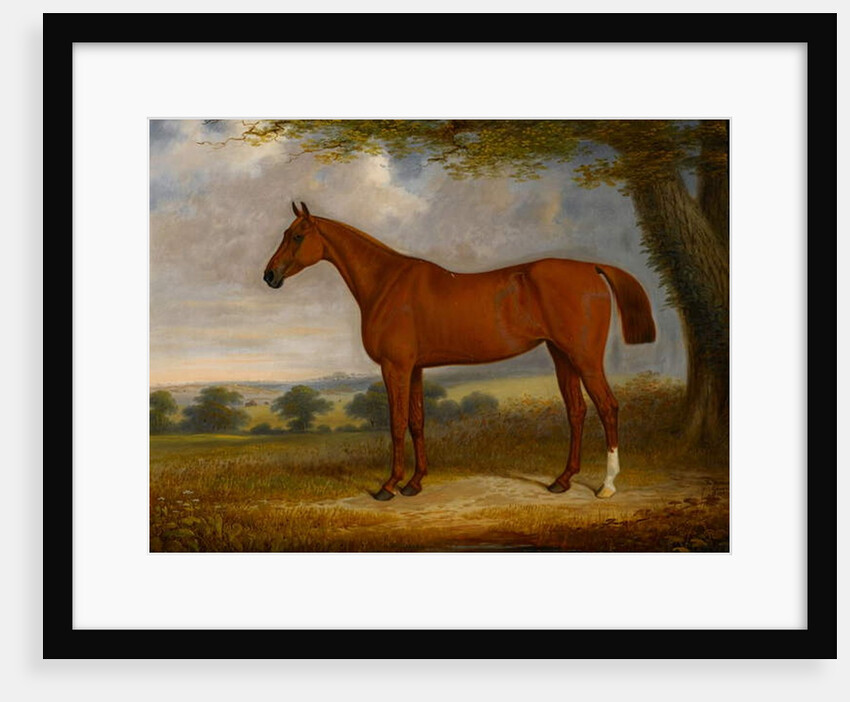 Chestnut Hunter in a Landscape, 1867 by Edwin Brown