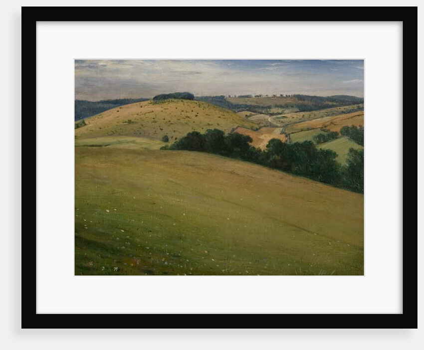 Summer in the Downs, 1946 by Christopher Richard Wynne Nevinson