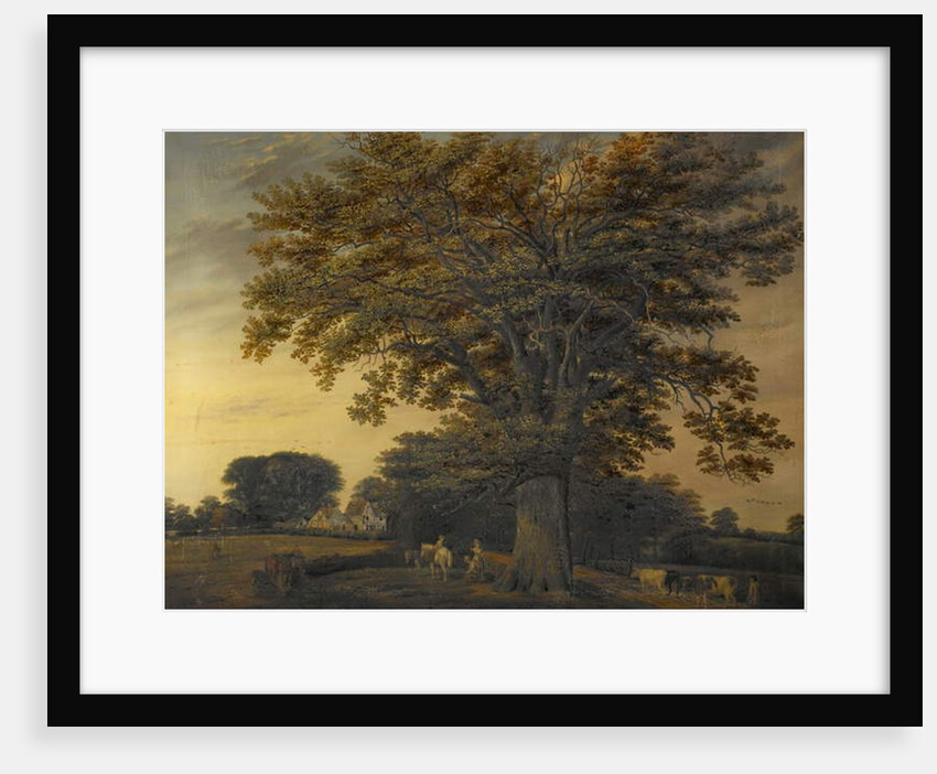 The Binley Oak, 1848 by Edwin Brown