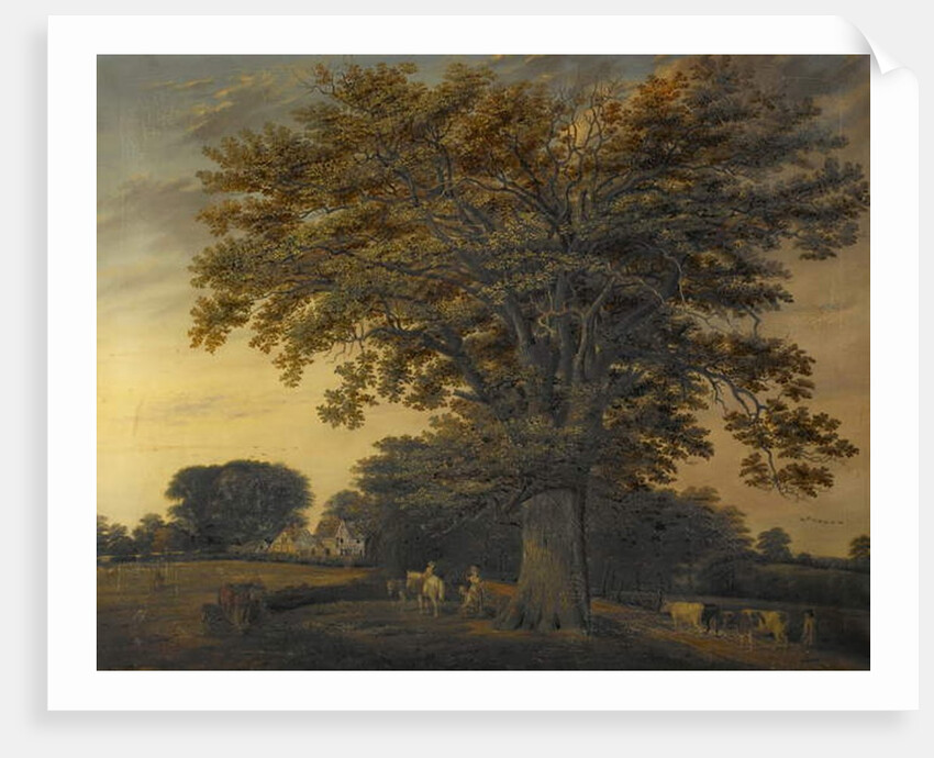 The Binley Oak, 1848 by Edwin Brown