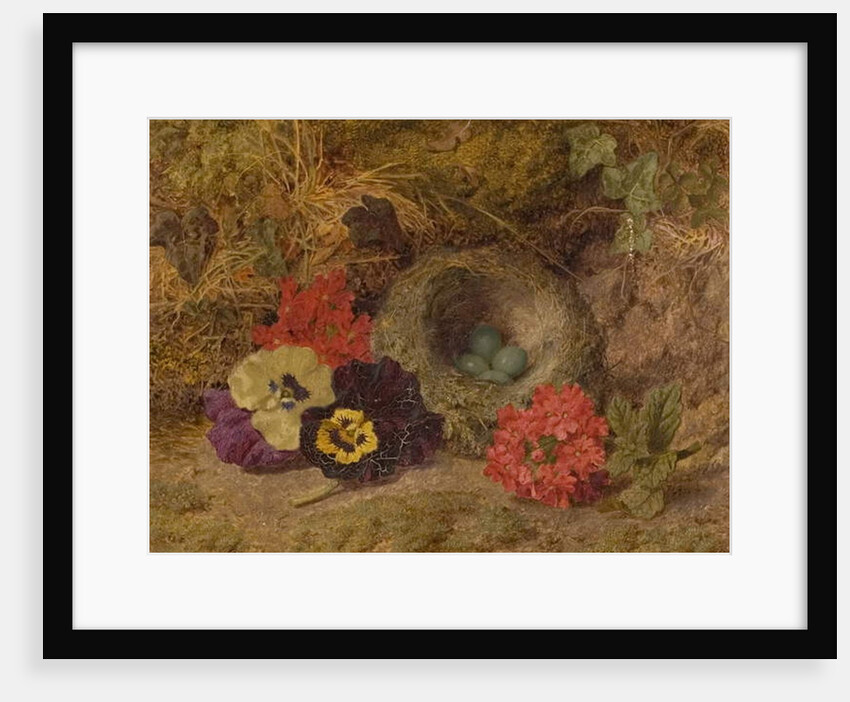 A Bird's Nest, Pansies and Verbena, late 19th century by Thomas Worsey