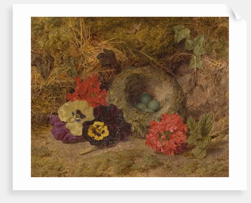 A Bird's Nest, Pansies and Verbena, late 19th century by Thomas Worsey