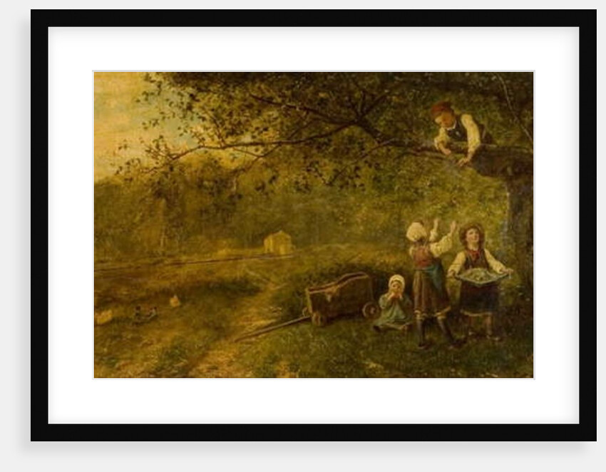 Picking Apples, late 19th century by James Crawford Thom