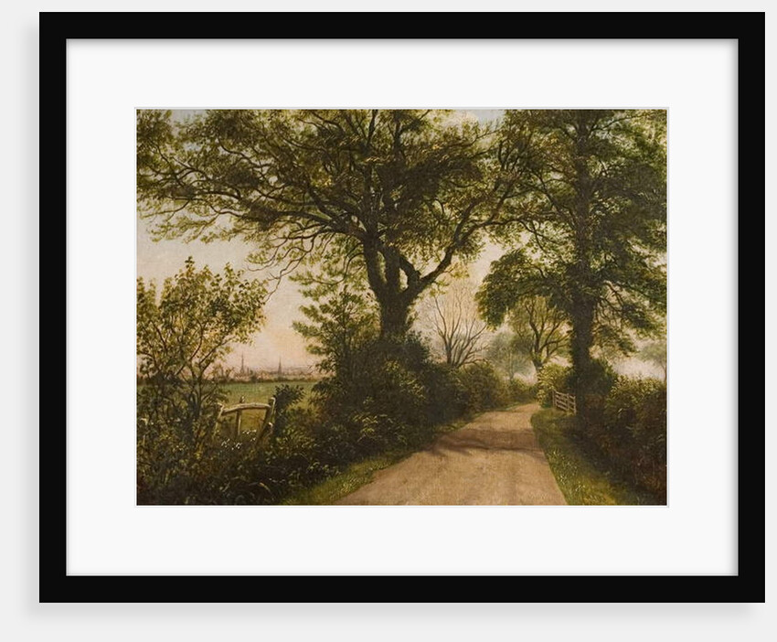 Distant View of Coventry, late 19th century by William Howard Reeve