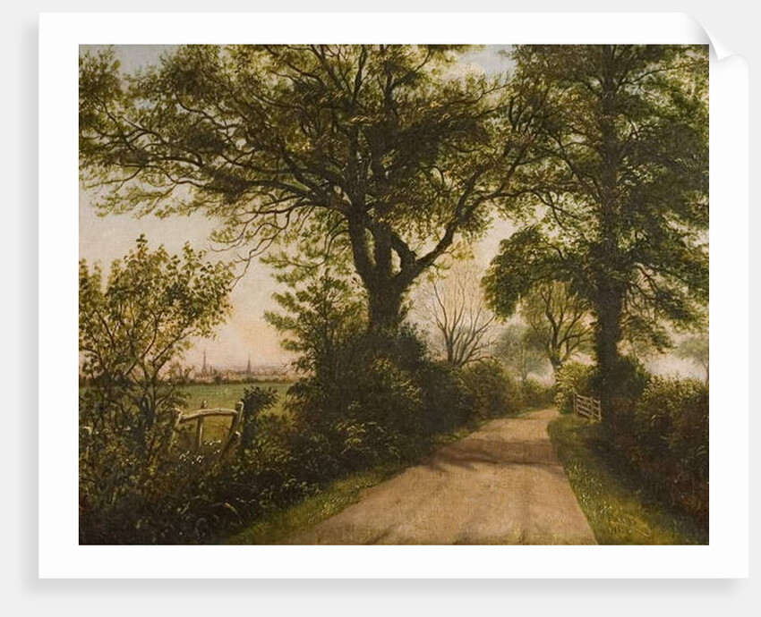 Distant View of Coventry, late 19th century by William Howard Reeve