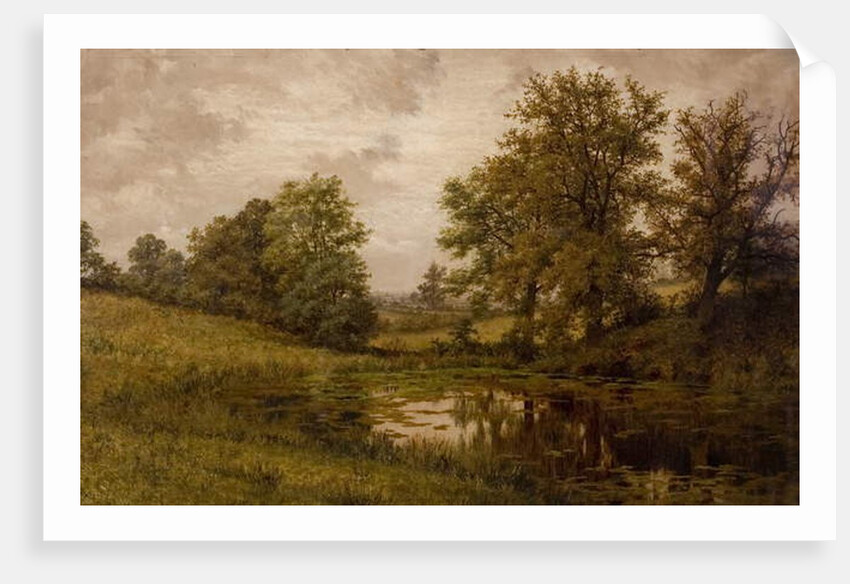 Pond near Whittem's Farm, near Coundon, late 19th-early 20th century by John Anderson