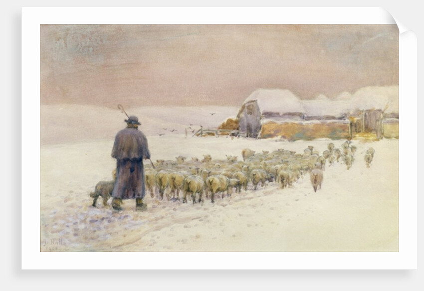 Bringing in the Flock, 1901 by Jessie Hall