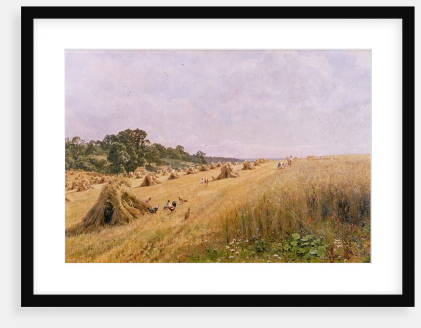 Cornfield Harvest by Edward Wilkins Waite