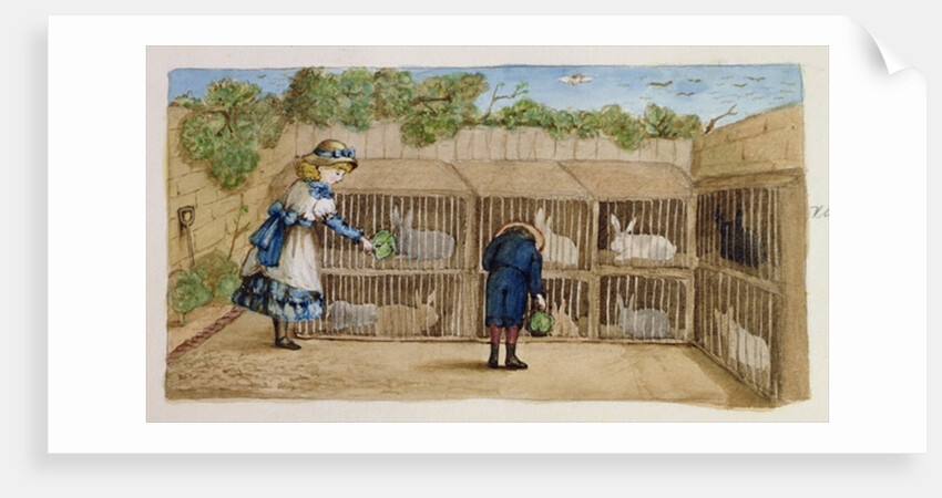 Feeding the Rabbits, 1883 by Rosa Petherick