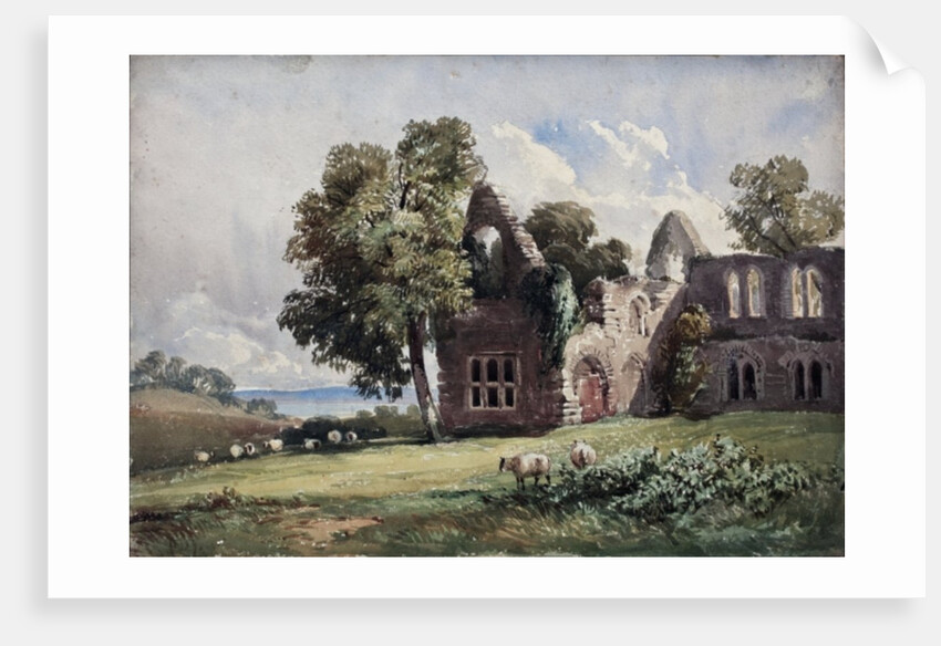 Ruined Abbey and Sheep by David Hall McKewan