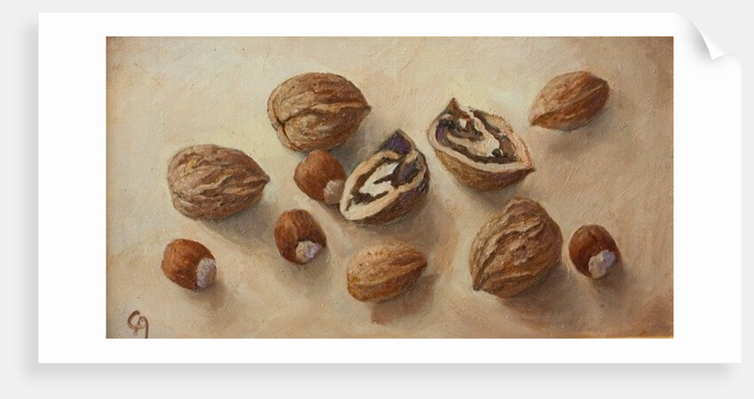 Walnuts and Hazelnuts, 2014 by Cristiana Angelini