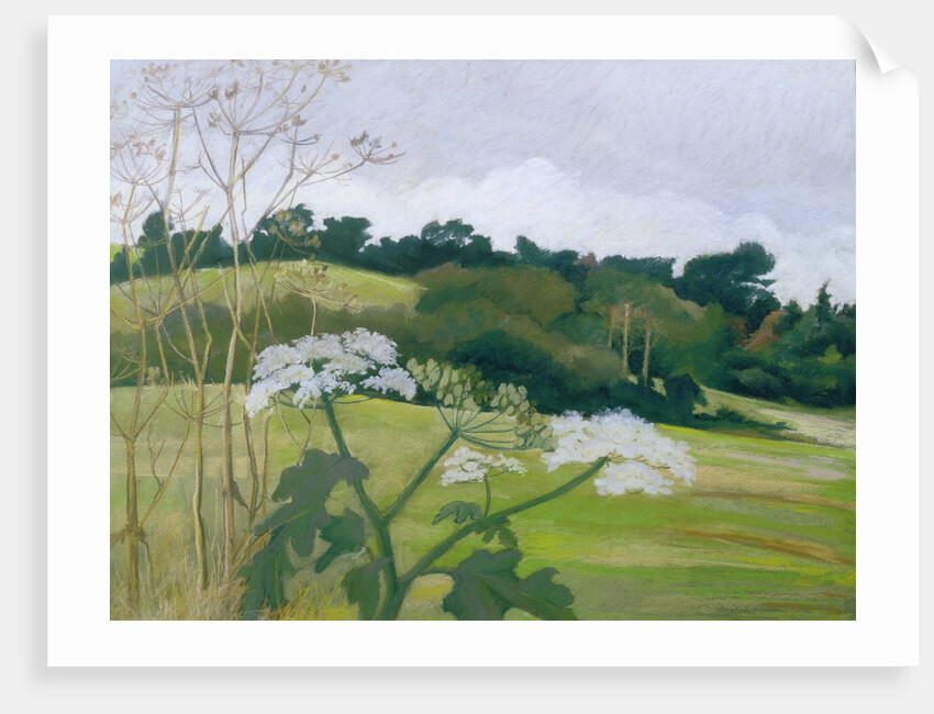 September by Cristiana Angelini