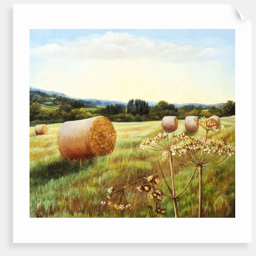 Eynsford Valley by Cristiana Angelini