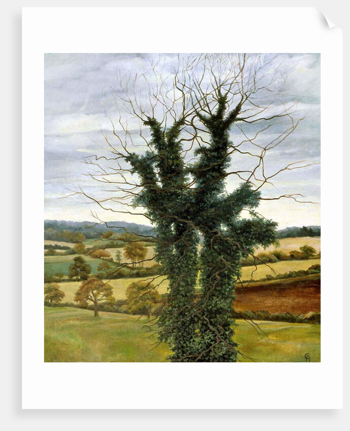 Winter Sky by Cristiana Angelini