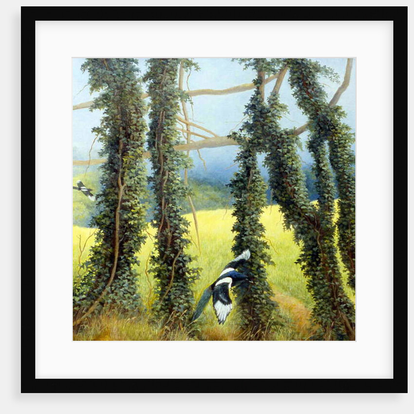 From the Bridle Path, Shoreham by Cristiana Angelini