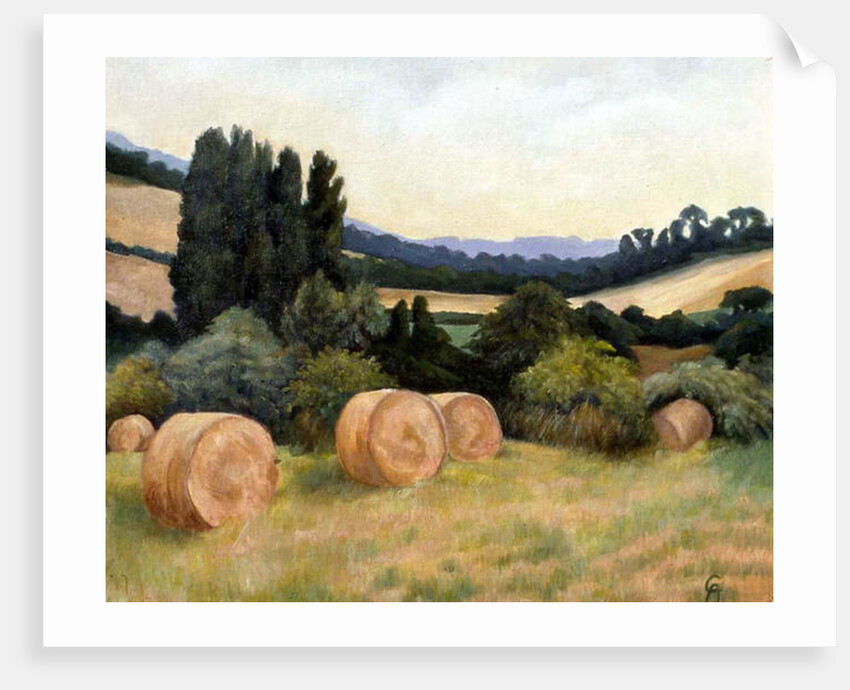 Eynsford Valley by Cristiana Angelini