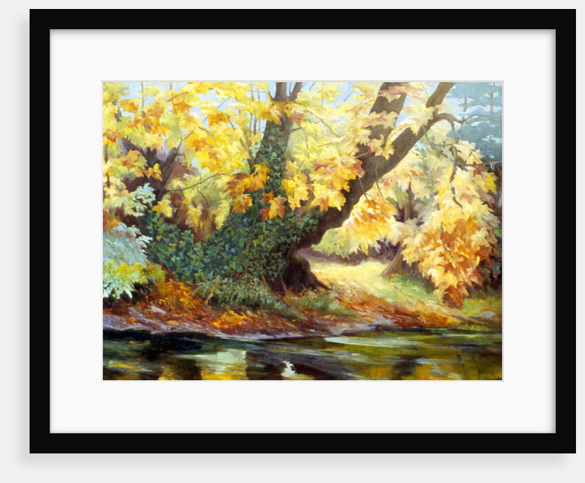 Autumn on the Darenth by Cristiana Angelini
