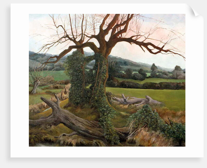 At the Waters Edge by Cristiana Angelini