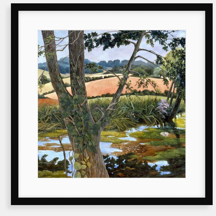 Summer amongst the reeds by Cristiana Angelini